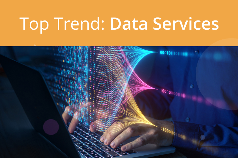 Data services for unstructured data management