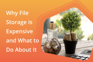 Why-File-Storage-is-Expensive-Blog_Resource_Thumbnail_800x533-002