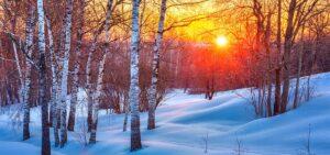 jan-news-update-blog