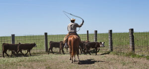 policies-to-corral-unstructured-data-blog-header