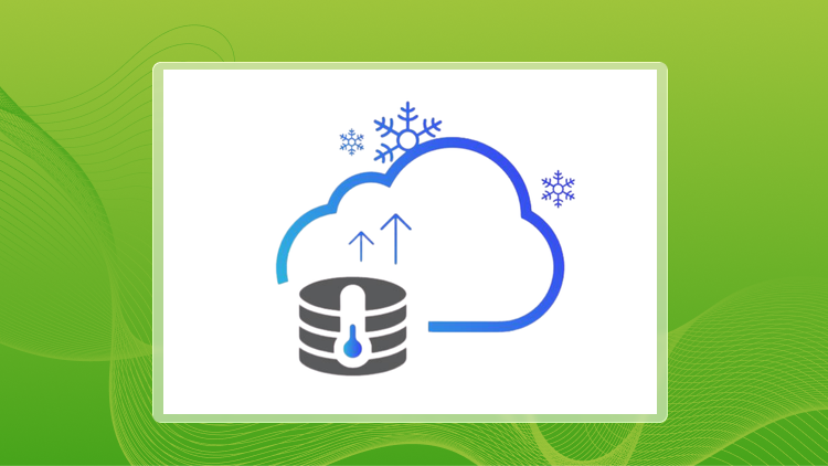 tmt-section-1-300x169